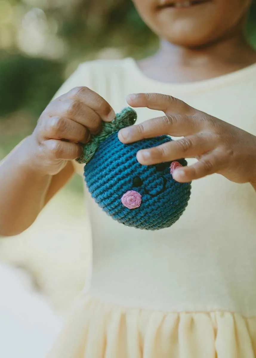 Friendly Plush Blueberry Rattle