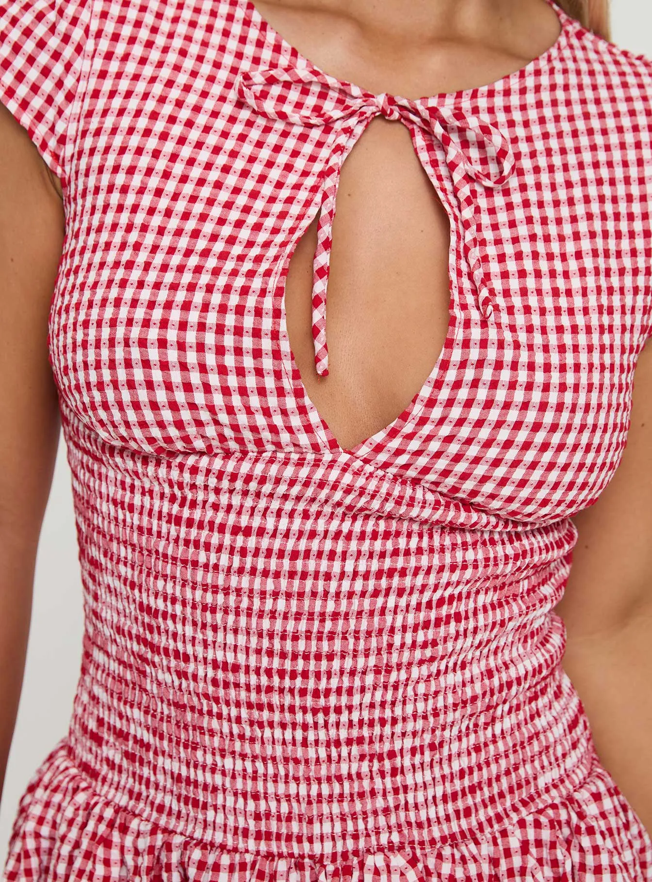Ladybug Gingham Mini Dress Red Petite