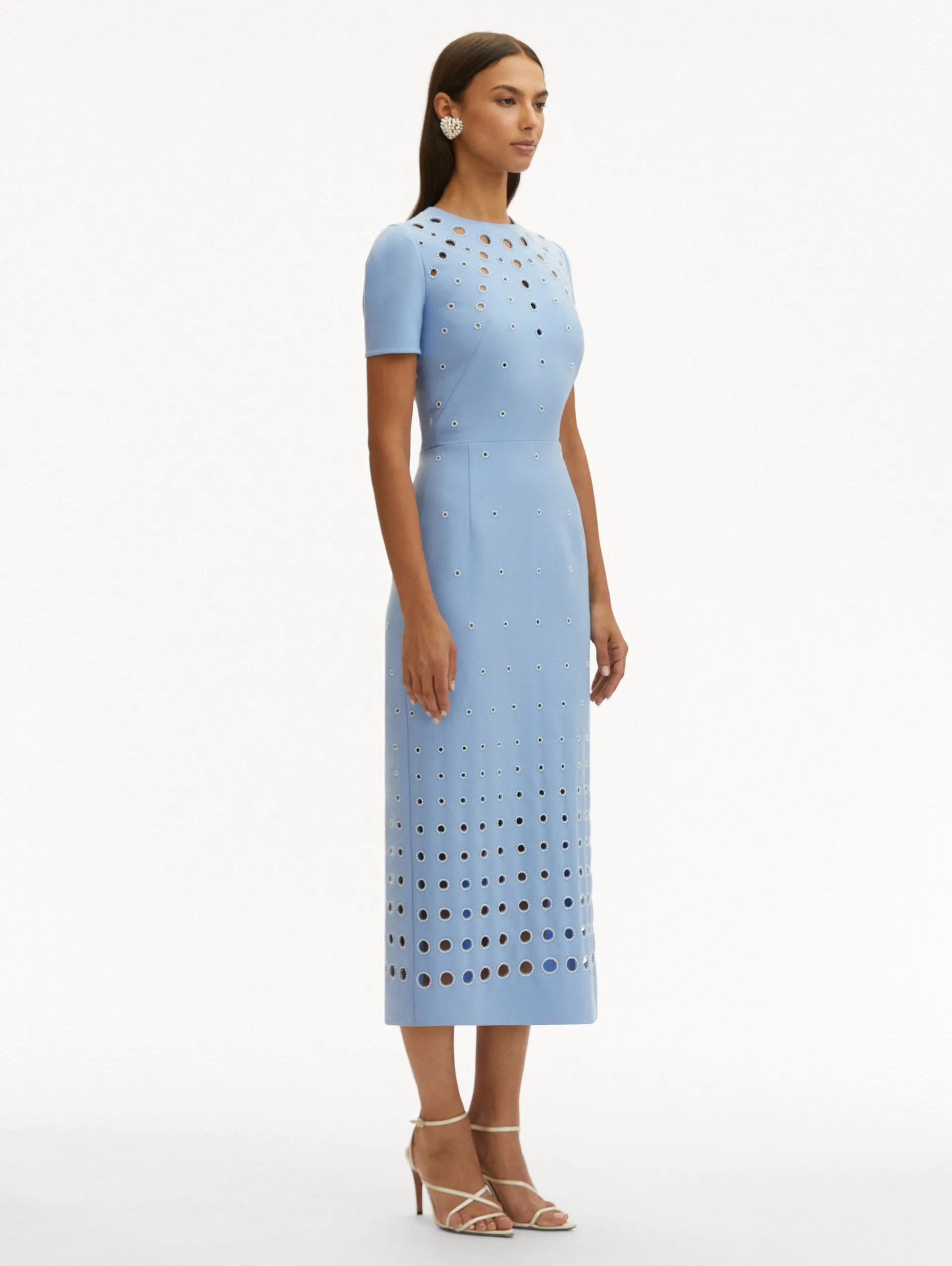 Pearl Eyelet Embroidered Dress
